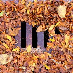 Blocked Drains London